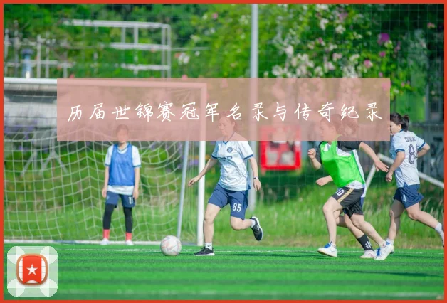 历届世锦赛冠军名录与传奇纪录