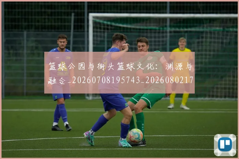 篮球公园与街头篮球文化:渊源与融合_20260708195743_20260802170340