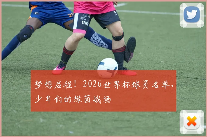 梦想启程！2026世界杯球员名单，少年们的绿茵战场