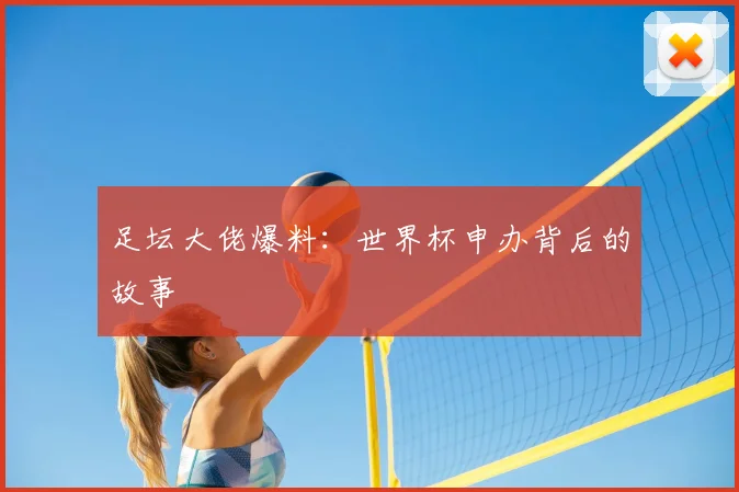 足坛大佬爆料：世界杯申办背后的故事
